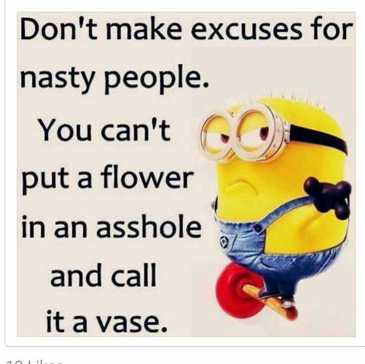 Minions Quotes Don't Make Excuses