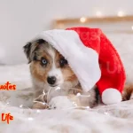 Best Quotes about Funny Life