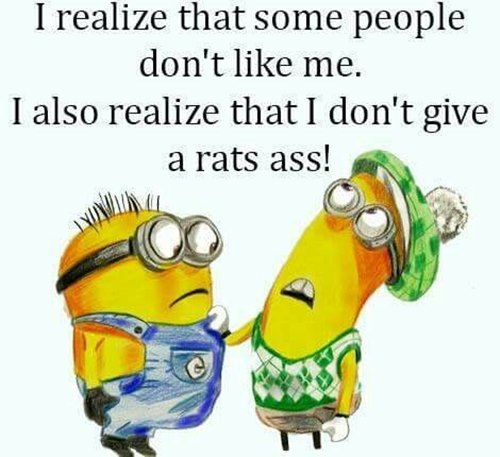 funny memes minions and quick witted funny despicable me quotes