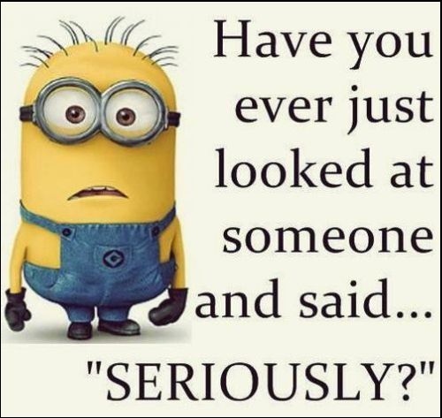 humorous funny minion pictures and minion captions