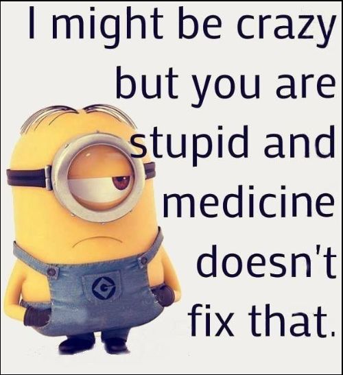 humorous funny minions quotes and minion inspirational quotes