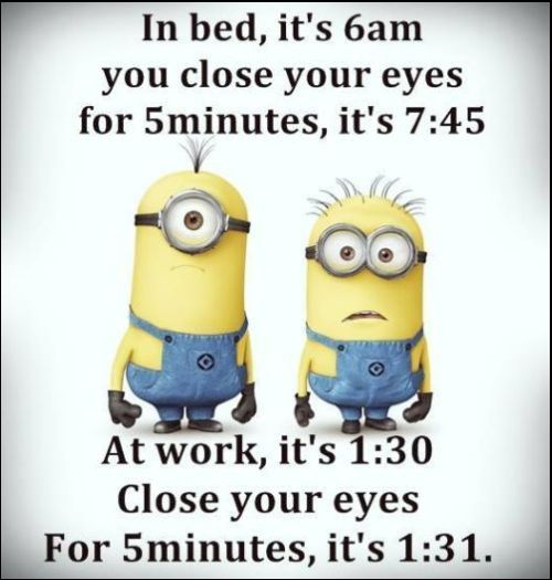 minion inspirational quotes and humorous funny minions memes
