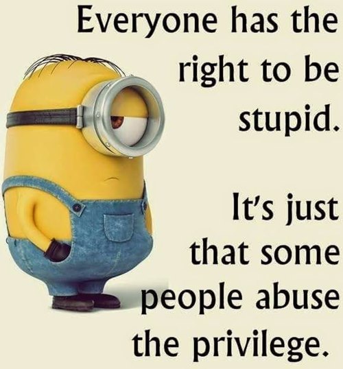 minion motivational quotes and quick witted minions memes images