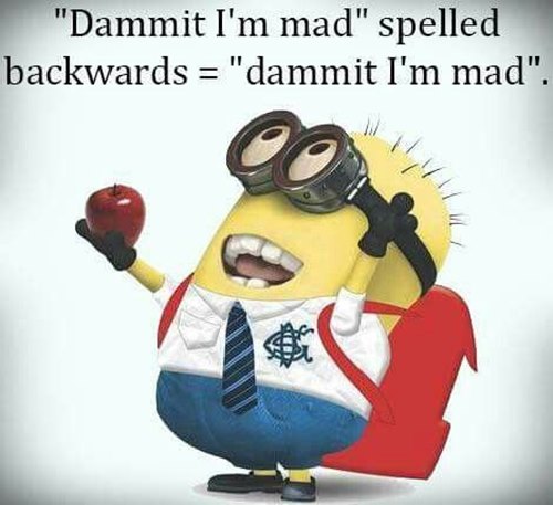 overkill quotes and best funny happy birthday minion quotes