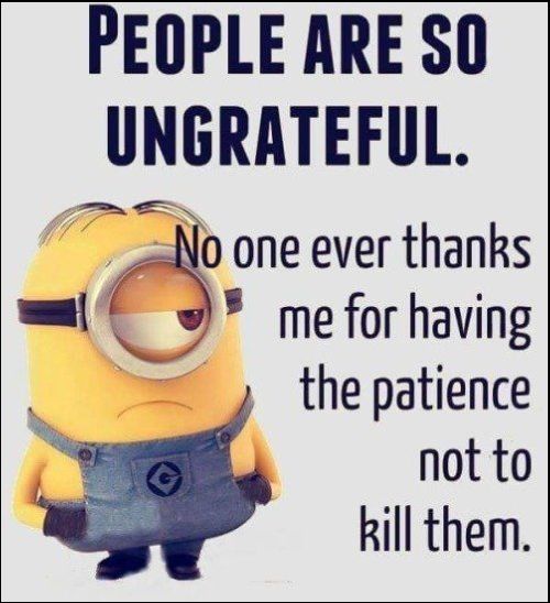 quick witted minion sayings funny and minion friendship quotes