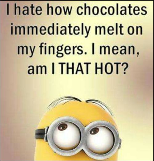 witty funny minions images and minions quotes funny