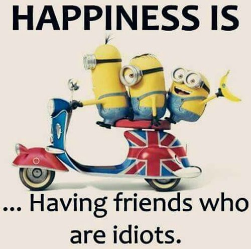 witty minion inspirational quotes and minion quotes funny