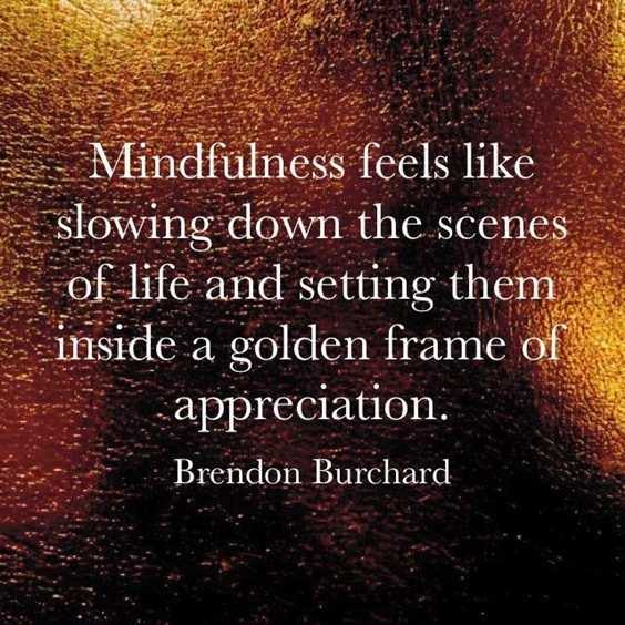 70 Brendon Burchard Motivational Quotes And Inspirational Life Sayings 43