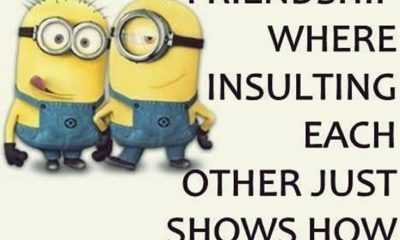 Top 29 Funny Minions Quotes and Pic 13