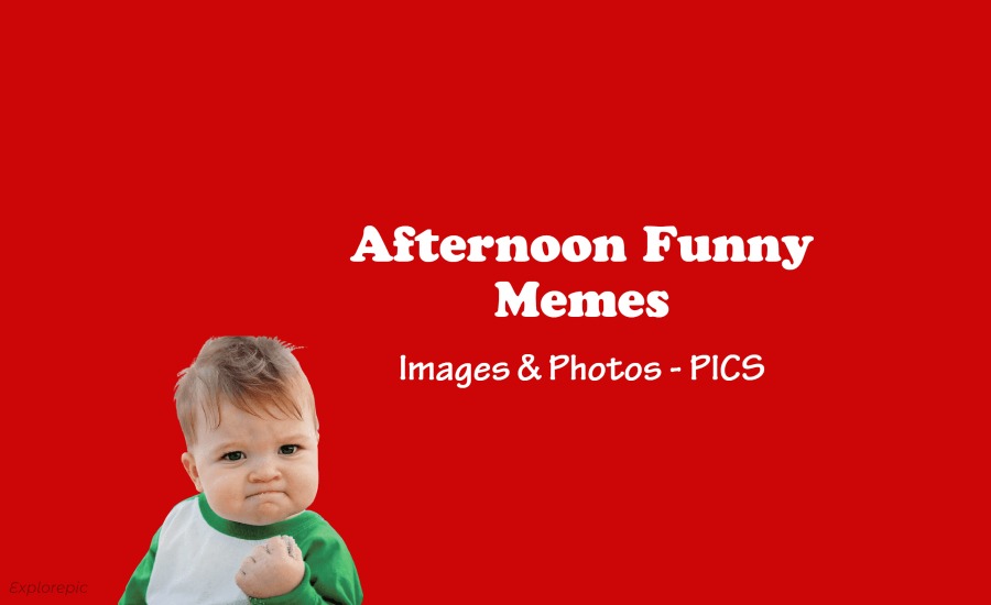 Afternoon Funny Memes, Images & Photos PICS Afternoon Funny Memes, Images & Photos PICS