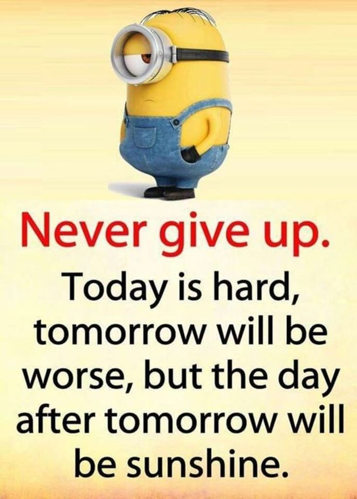 28 Best Minion Quotes Images ExplorePic