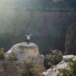 Inspiring quotes about challenges that change your life