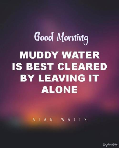 40 Good Morning Quotes for Wisdom Images and Sayings 5
