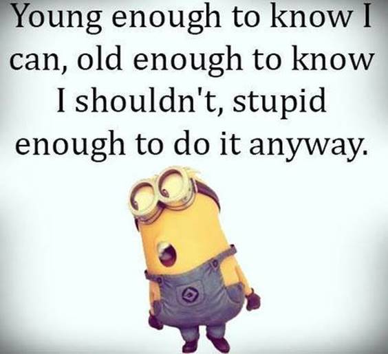 42 Fun Minion Quotes Of The Week 18