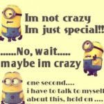 42 Fun Minion Quotes Of The Week 24