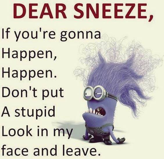 42 Fun Minion Quotes Of The Week 5