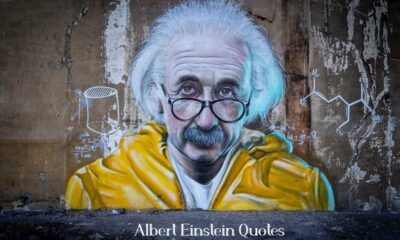 Famous Albert Einstein Quotes on Innovation Love Lifestyle
