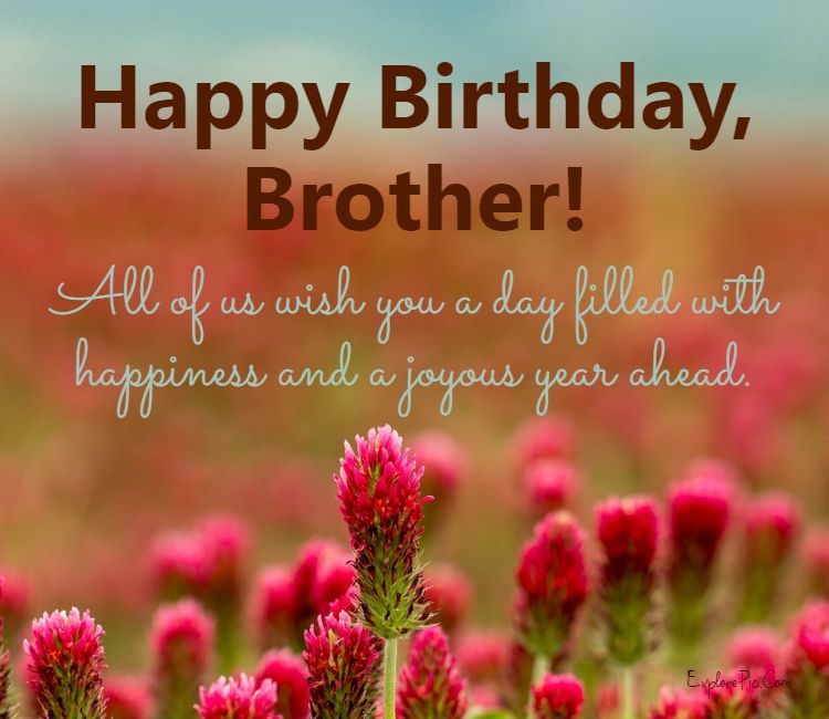 happy birthday brother messages
