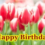 happy birthday flowers with quotes
