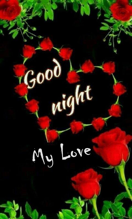 50 Good Night Love Messages - The Best Collection – ExplorePic