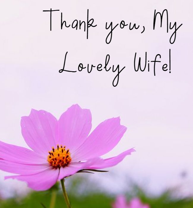 thank you my wife