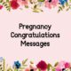 Congratulations On Pregnancy Messages Pregnancy Wishes Texts and Notes