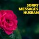 Sorry Messages For Husband The Perfect Sorry Quotes