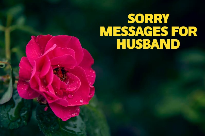 110 Sorry Messages For Husband – The Perfect Sorry Quotes