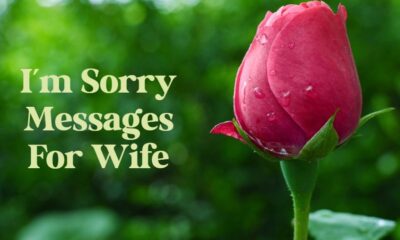 What To Write Heart Touching Im Sorry Messages For Wife – Apology Messages Card