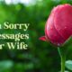 What To Write Heart Touching Im Sorry Messages For Wife – Apology Messages Card