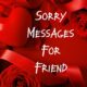What to Write I Am Sorry Messages for Friends Apology Quotes and Notes