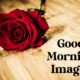 New Good Morning Images With Pictures And happy good morning pic