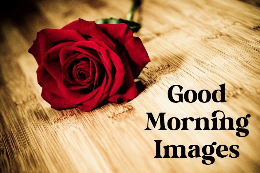 New Good Morning Images With Pictures And happy good morning pic