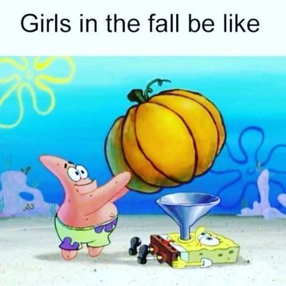funny pumpkin spice memes Pumpkin Spice Memes Images And Funny Quotes
