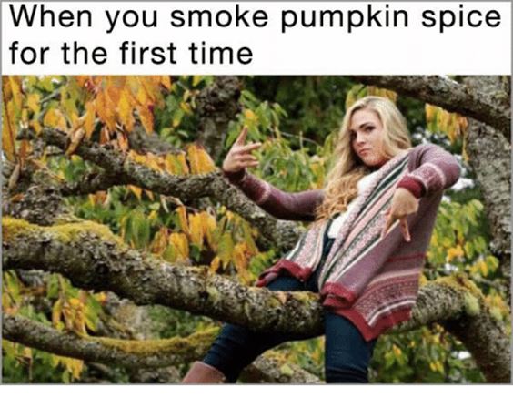 meme pumpkin Pumpkin Spice Memes Images And Funny Quotes