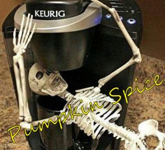 pumpkin spice basic meme Pumpkin Spice Memes Images And Funny Quotes