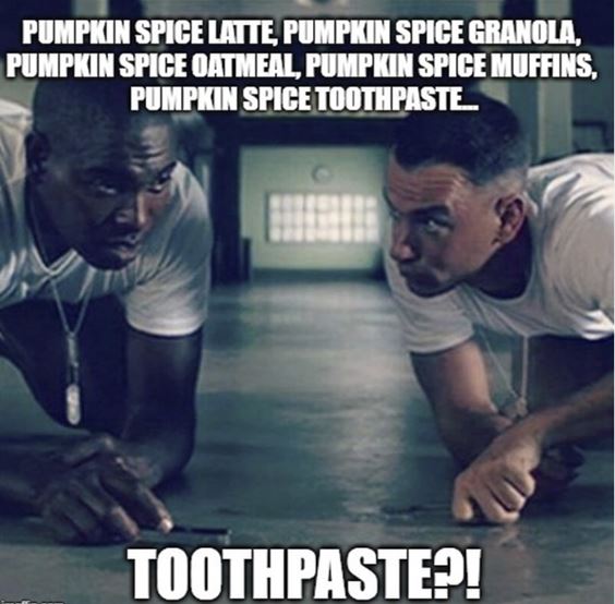 pumpkin spice coffee meme Pumpkin Spice Memes Images And Funny Quotes