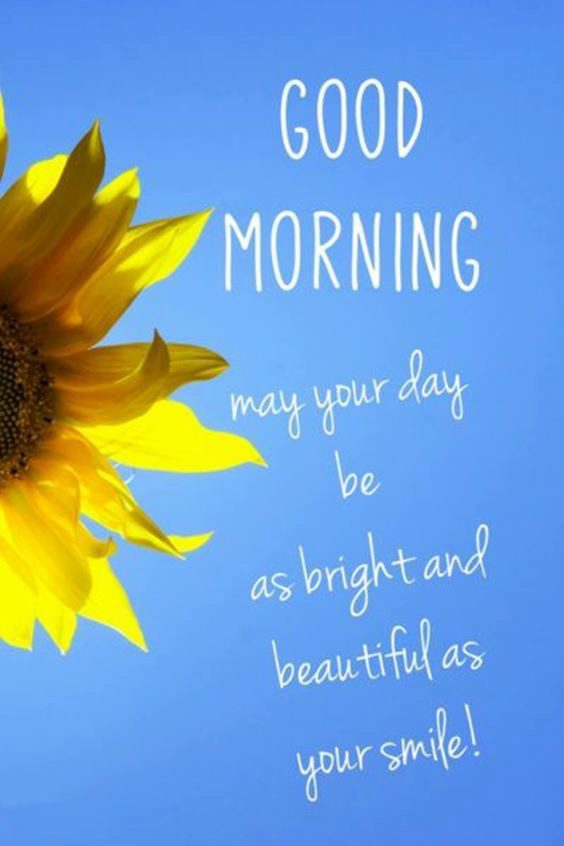 Lovely Beautiful Morning Pictures with Quotes And Good Morning Images good morning beautiful pictures