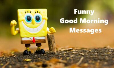 Sarcastic Funny Good Morning Messages Best Funny Images For Morning