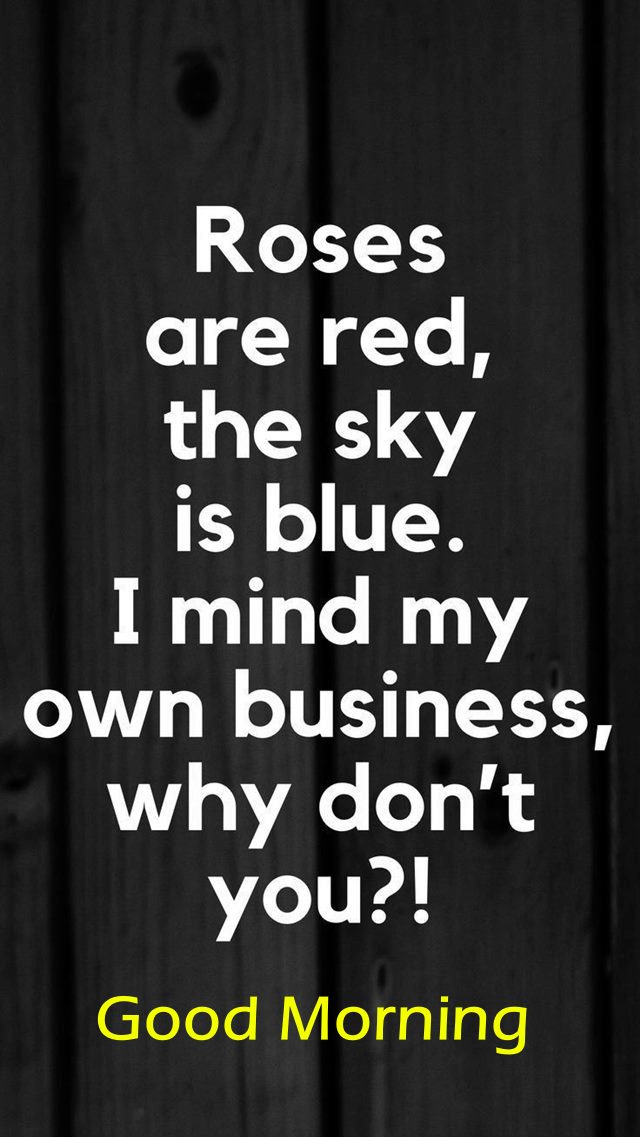 funny have a good day and best good morning quotes and images