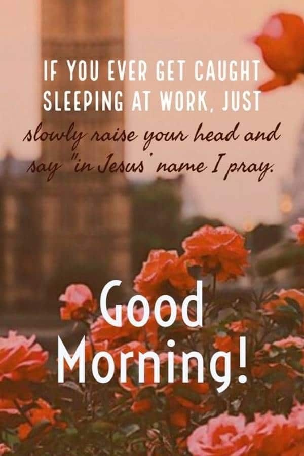 simple reminder quotes images - good morning wise quotes |  wise people quotes good morning have a nice day quotes life of wisdom wise words to live by