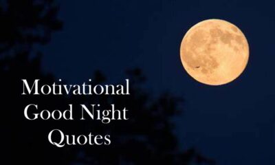 Motivational Good Night Quotes With Images Beautiful and Inspirational | Inspirational good night messages, Good night messages, Good night text messages