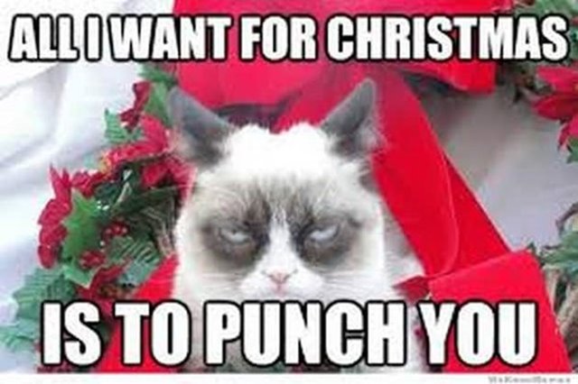 all i want for christmas is to punch you funny meme Funniest Merry Christmas Memes Ideas With Funny Christmas Images