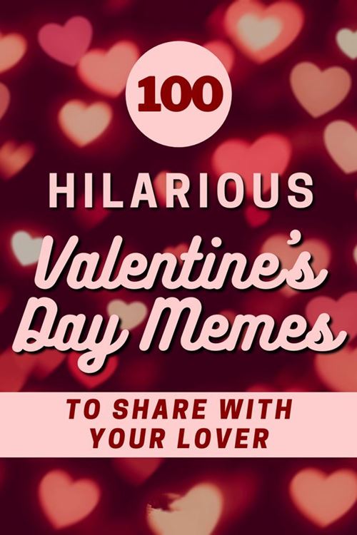 cute valentines day memes hilarious pics