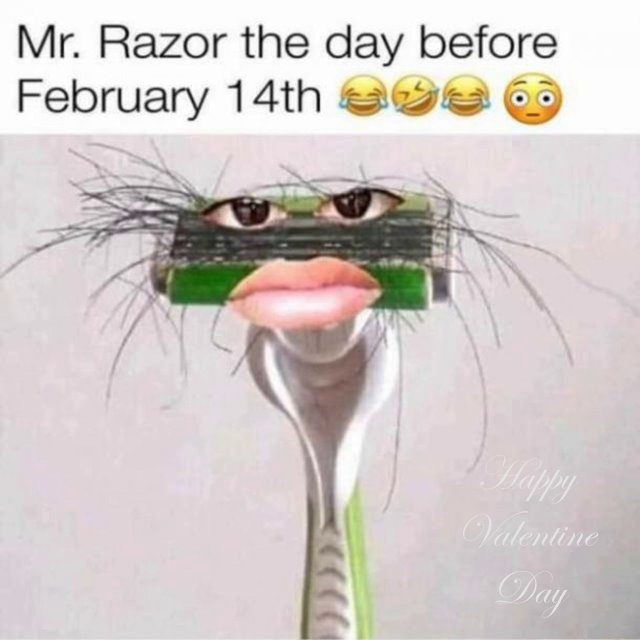 valentines day meme for singles Funny Valentine Memes That Sarcastic Valentine Memes For Singles