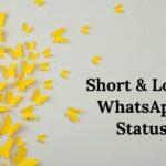 Short and Long WhatsApp Status