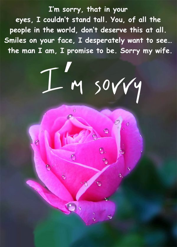 Sincere Sorry Messages And Quotes For Wife