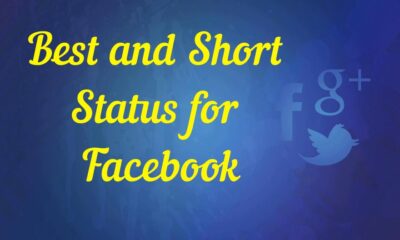 Best and Short Status for Facebook Cute Status for Maximum Likes