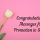 Congratulations Messages for Promotion to Senior Best Promotion Wishes