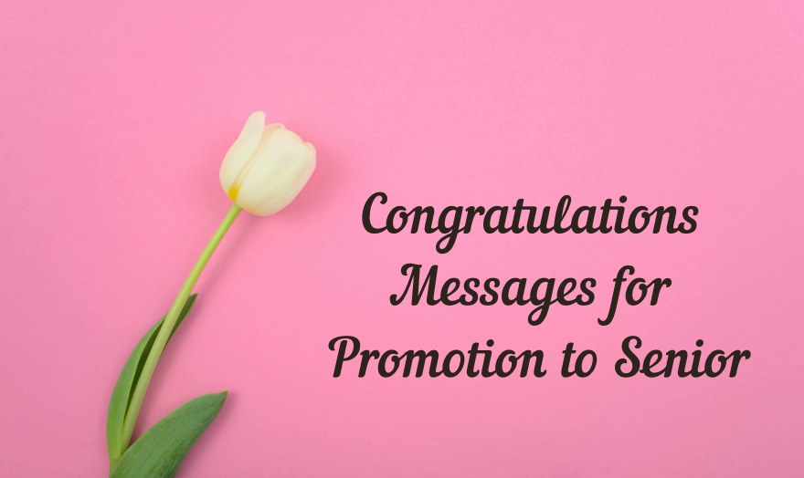 60 Congratulations Messages for Promotion to Senior – Best Promotion Wishes